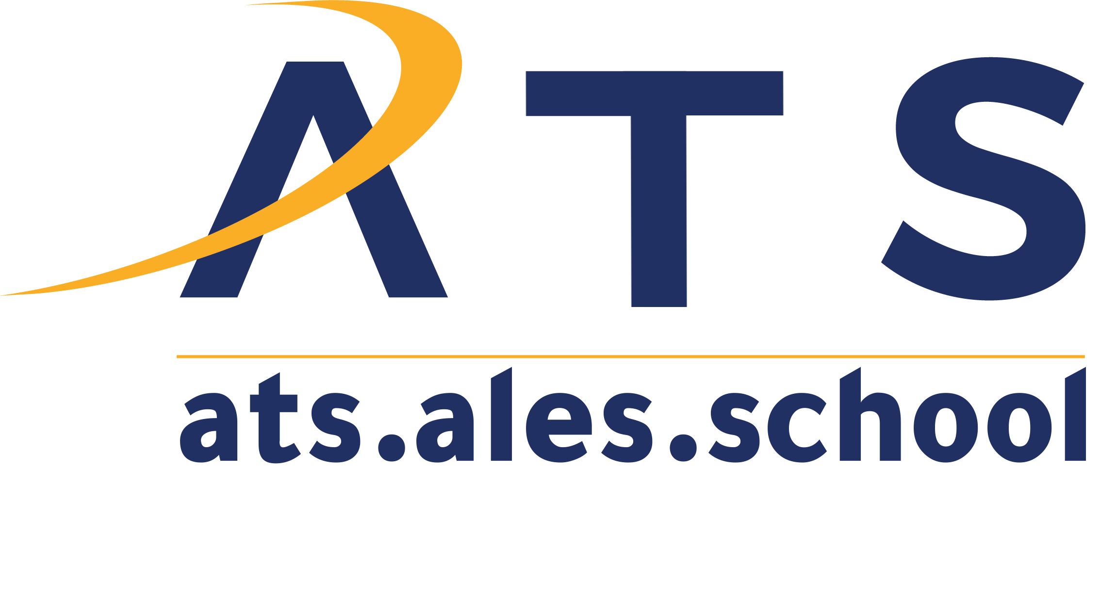 Electronic School